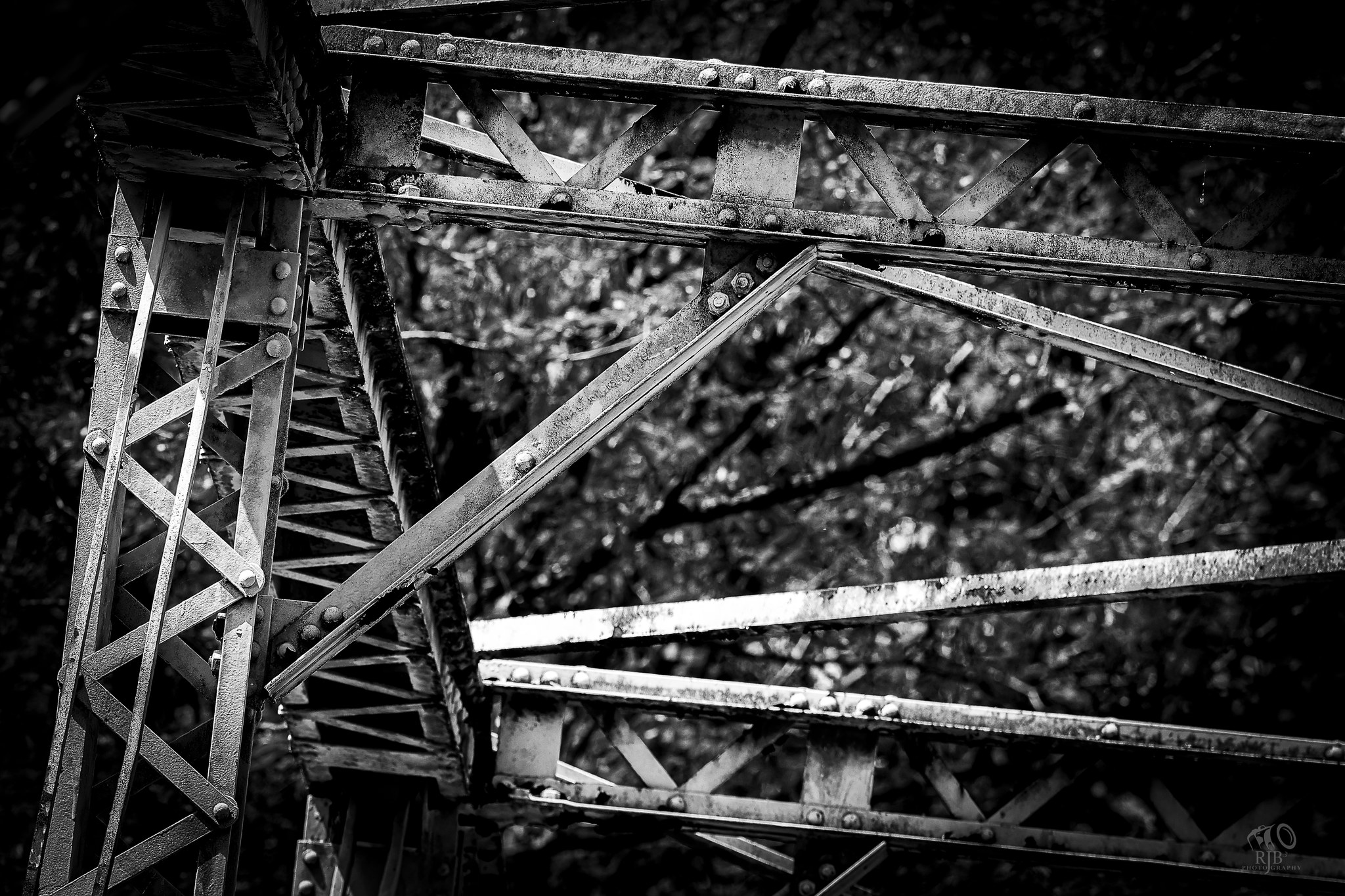 RJB3 Photography thumbnail 5